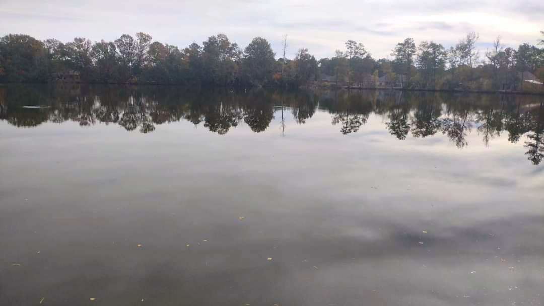 The stocked bass lake at Singh RV Campground